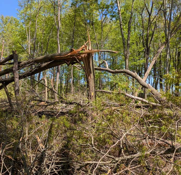 April storm damage