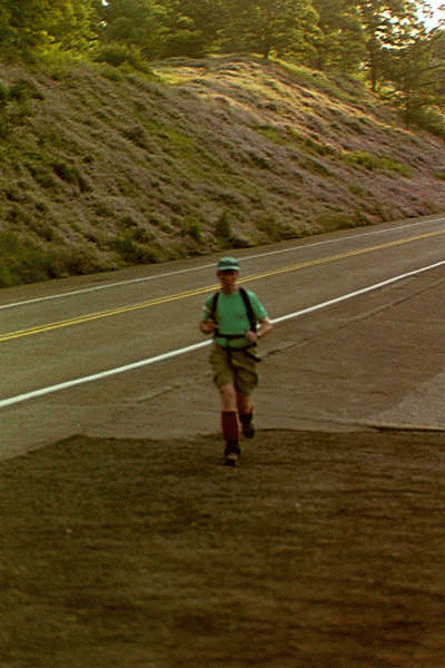 Down Ridge Road to the Bull Creek checkpoint