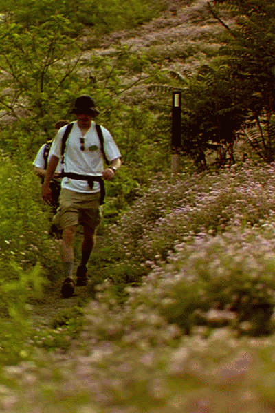 Hikers ascend the ridge above Bull Creek