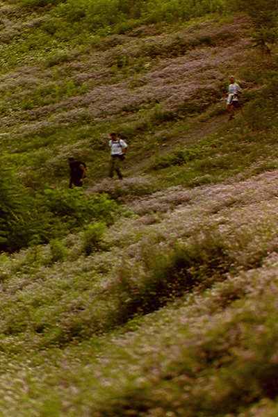 Scenes from Bull Creek ridge