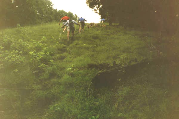 Sheetz Hill, looking up