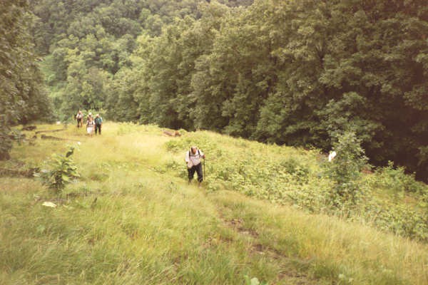 Sheetz Hill, looking down