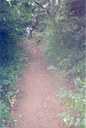 Sliding down the mud at Cove Run Hill