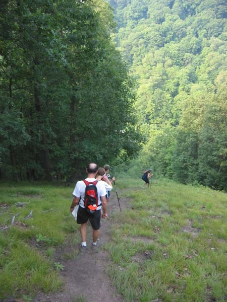 Descending the steep hill near Sheetz