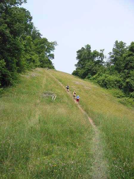 Up Log Cabin hill