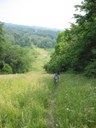 Looking back from Myers Hill