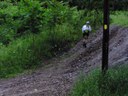 Last ascent on Rich Hill