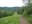 Looking back from Log Cabin Hill