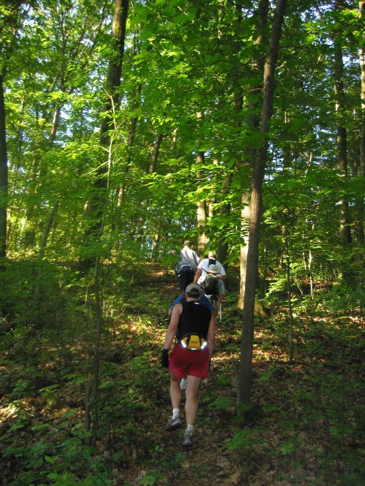 In Hampton Nature Preserve