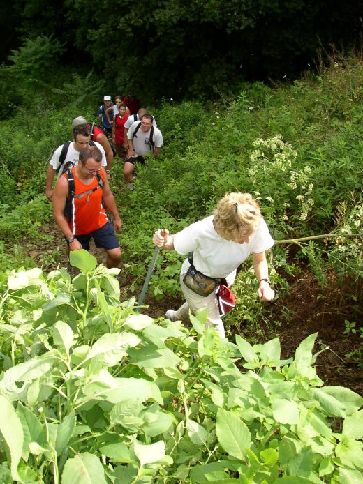 Up the hill to Murray Hill Estates