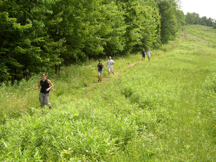 Atop Log Cabin Hill