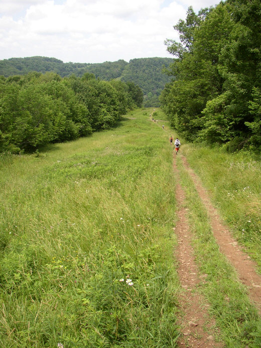 Atop Log Cabin Hill