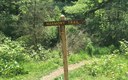 Harmony Trail Volunteer Workday